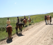 Montana2008 530